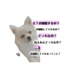 鈴木家の小次郎くん ②（個別スタンプ：29）