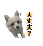 鈴木家の小次郎くん ②（個別スタンプ：30）