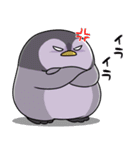太っちょペンギン【怒り編】（個別スタンプ：5）