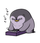 太っちょペンギン【怒り編】（個別スタンプ：40）