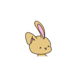 ヌーサギサンのスタンプ（個別スタンプ：8）