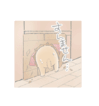 なにわのゆるい柴犬きなこです。『関西弁』（個別スタンプ：11）