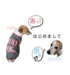 のんちゃんの日々Withサンタくん（個別スタンプ：1）
