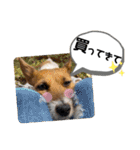 のんちゃんの日々Withサンタくん（個別スタンプ：7）
