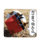 のんちゃんの日々Withサンタくん（個別スタンプ：8）