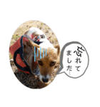 のんちゃんの日々Withサンタくん（個別スタンプ：10）
