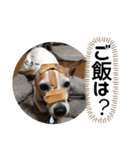 のんちゃんの日々Withサンタくん（個別スタンプ：12）