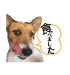 のんちゃんの日々Withサンタくん（個別スタンプ：15）