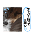 のんちゃんの日々Withサンタくん（個別スタンプ：21）