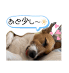 のんちゃんの日々Withサンタくん（個別スタンプ：23）