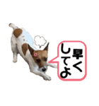 のんちゃんの日々Withサンタくん（個別スタンプ：25）