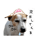 のんちゃんの日々Withサンタくん（個別スタンプ：26）