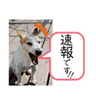 のんちゃんの日々Withサンタくん（個別スタンプ：28）
