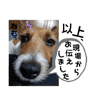 のんちゃんの日々Withサンタくん（個別スタンプ：29）