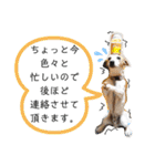 のんちゃんの日々Withサンタくん（個別スタンプ：31）