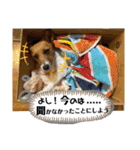 のんちゃんの日々Withサンタくん（個別スタンプ：32）