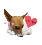 のんちゃんの日々Withサンタくん（個別スタンプ：33）