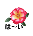 yasuおばさんの薔薇言葉 R3-3（個別スタンプ：5）