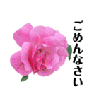 yasuおばさんの薔薇言葉 R3-3（個別スタンプ：35）