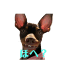 るるるん♪（個別スタンプ：3）