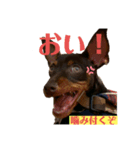 るるるん♪（個別スタンプ：4）