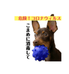 るるるん♪（個別スタンプ：6）