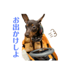 るるるん♪（個別スタンプ：7）