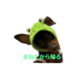 るるるん♪（個別スタンプ：8）