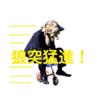 大道芸人 狼執事スタンプ（個別スタンプ：9）