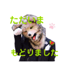 大道芸人 狼執事スタンプ（個別スタンプ：13）