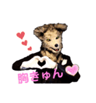 大道芸人 狼執事スタンプ（個別スタンプ：16）