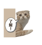 とろみの幸せが全て（個別スタンプ：1）