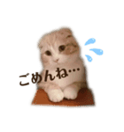 とろみの幸せが全て（個別スタンプ：3）
