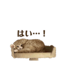 とろみの幸せが全て（個別スタンプ：6）
