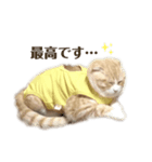 とろみの幸せが全て（個別スタンプ：8）