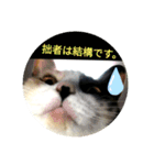 家もんすたんぷgicoazickatze ぎこあぢく（個別スタンプ：4）