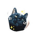 家もんすたんぷgicoazickatze ぎこあぢく（個別スタンプ：7）