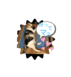 家もんすたんぷgicoazickatze ぎこあぢく（個別スタンプ：9）