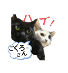 家もんすたんぷgicoazickatze ぎこあぢく（個別スタンプ：10）