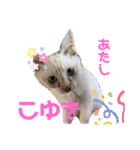 こゆちのスタンプ（個別スタンプ：1）