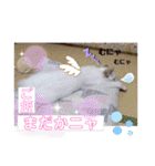 こゆちのスタンプ（個別スタンプ：2）