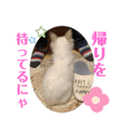 こゆちのスタンプ（個別スタンプ：3）