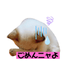 こゆちのスタンプ（個別スタンプ：6）