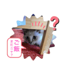 こゆちのスタンプ（個別スタンプ：9）