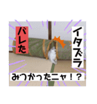 こゆちのスタンプ（個別スタンプ：10）