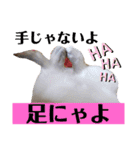 こゆちのスタンプ（個別スタンプ：12）