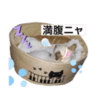 こゆちのスタンプ（個別スタンプ：13）