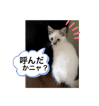 こゆちのスタンプ（個別スタンプ：14）