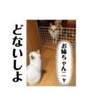 こゆちのスタンプ（個別スタンプ：18）