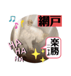 こゆちのスタンプ（個別スタンプ：20）